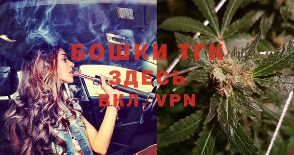 тгк Алексин